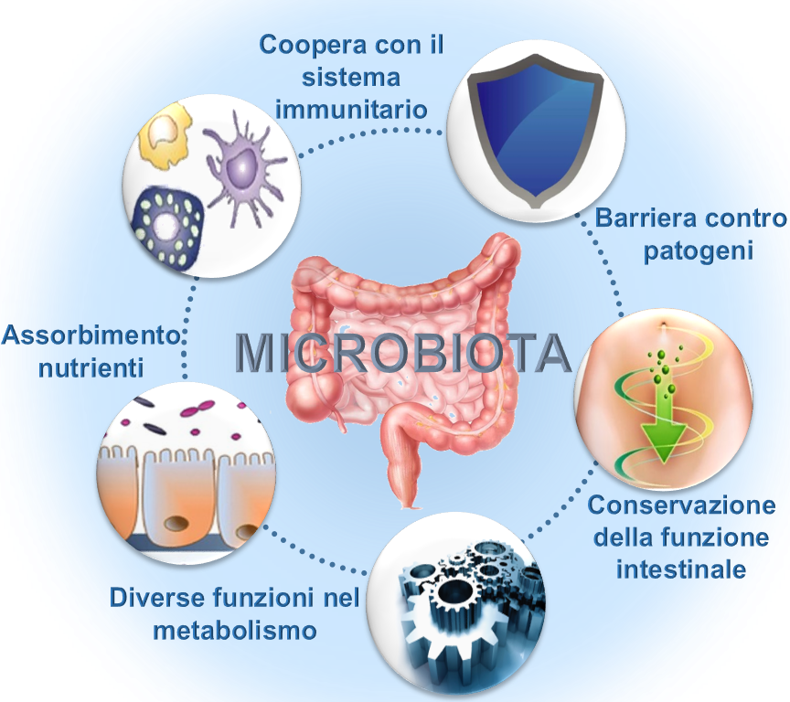 microbiota